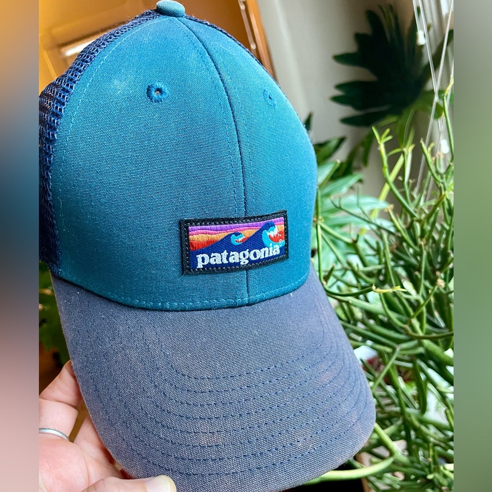 Patagonia LoPro logo trucker hat